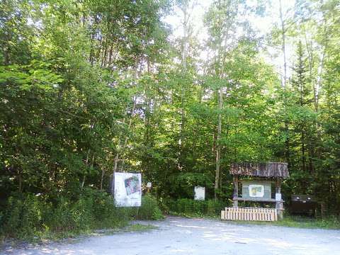 Ravenshoe Trailhead